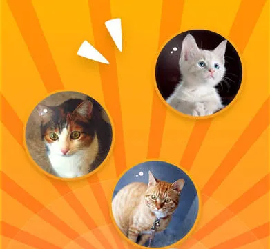 狗语翻译器2026下载