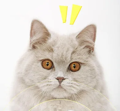 狗语翻译器2026下载