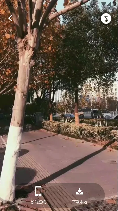 动态壁纸桌面2026官方正版截图