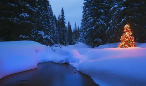 拇指壁纸2026最新版本