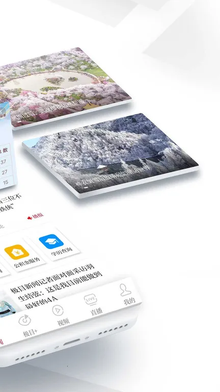 楚天都市报电子截图