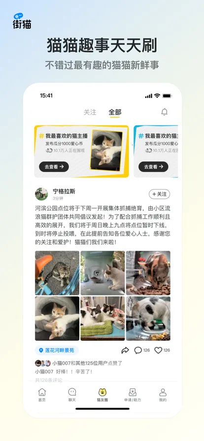 街猫 3.6.6截图