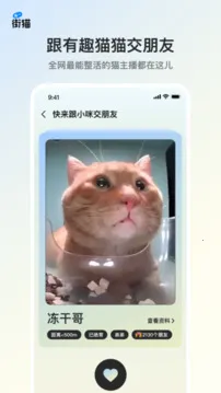 街猫 3.6.6截图