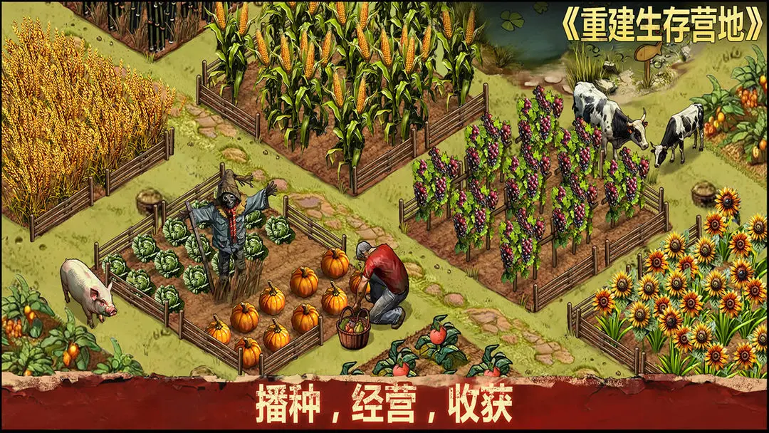 重建生存营地内购版截图