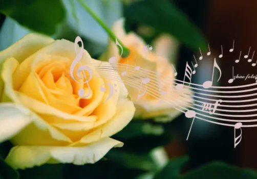 左耳铃声(铃声管理软件) 左耳铃声(铃声管理软件)