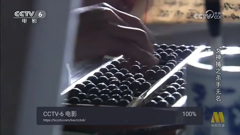 webview电视iOS版截图