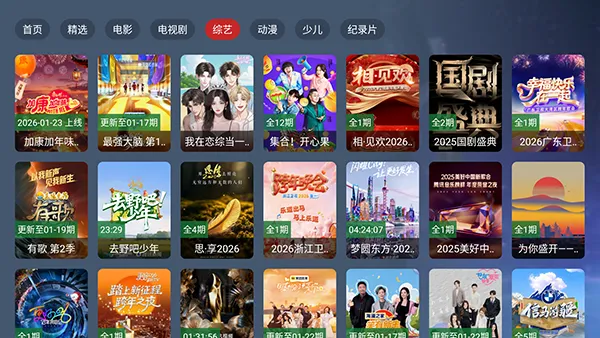 家庭影院4k最新手机版截图