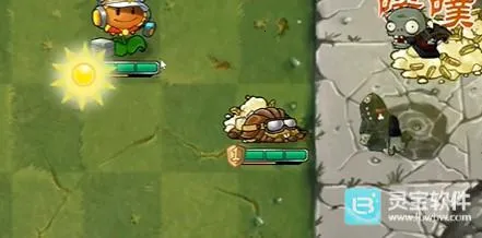 植物大战僵尸诸神版辅助菜单
