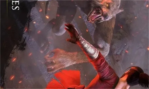 忍者武士隆2026下载安装截图