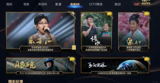 盗贼大师(盗贼模拟游戏)