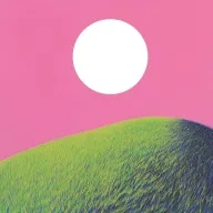 荒野说离异平台(再婚交友APP)