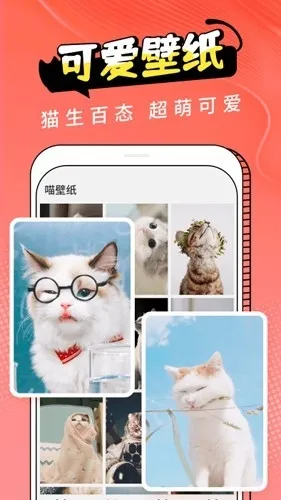 Cat Translation2026下载安装截图