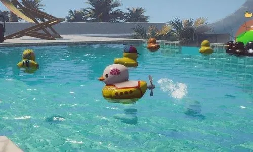 小黄鸭模拟器官方正版下载截图