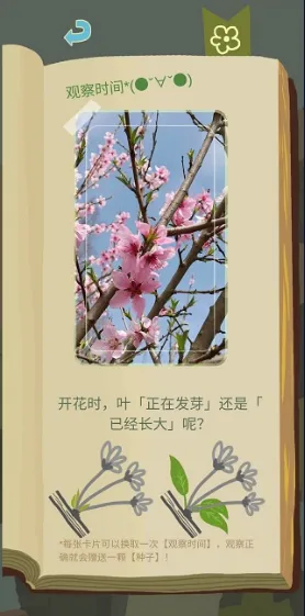 老农种树星座冬季(星空观测游戏)