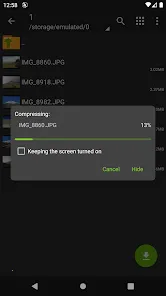 zarchiver pro下载截图