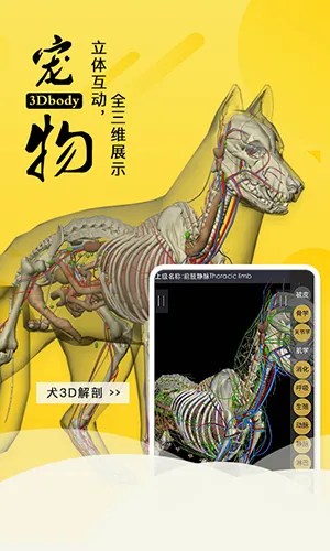 3dbody宠物破解版截图