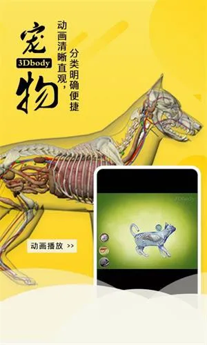 3dbody宠物破解版截图