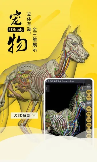 3dbody宠物破解版截图