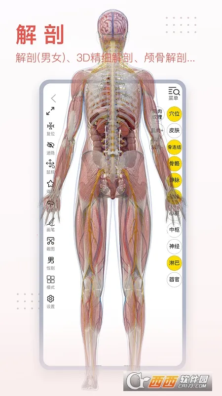 3dbody宠物破解版截图