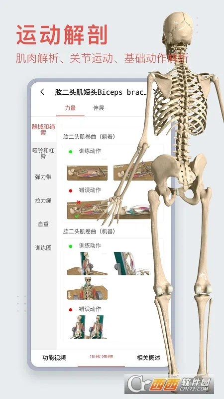 3dbody宠物破解版截图