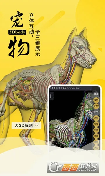 3dbody宠物破解版