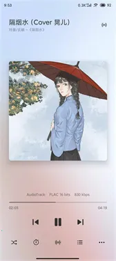 椒盐音乐pro破解版截图