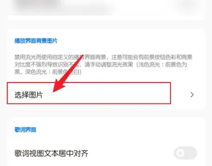 椒盐音乐pro破解版