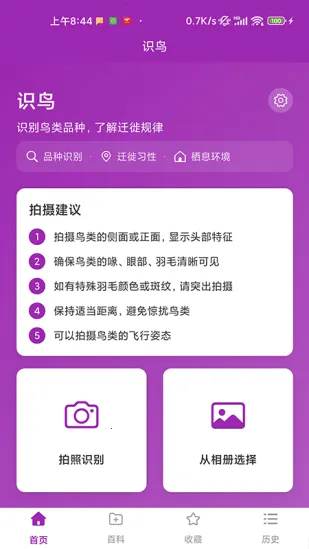 识鸟2026官方正版截图