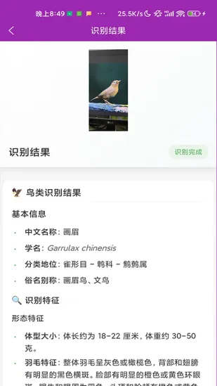 识鸟2026官方正版截图