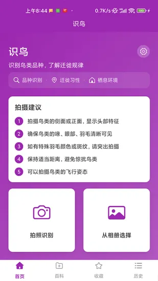 识鸟2026官方正版截图