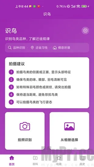 识鸟2026官方正版 识鸟2026官方正版