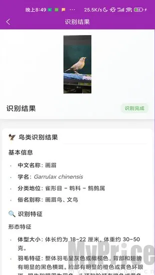 识鸟2026官方正版 识鸟2026官方正版