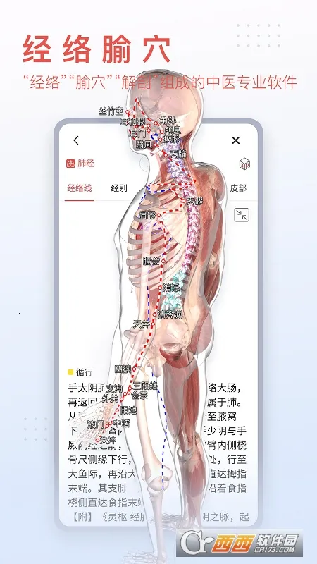 3dbody宠物版免费截图