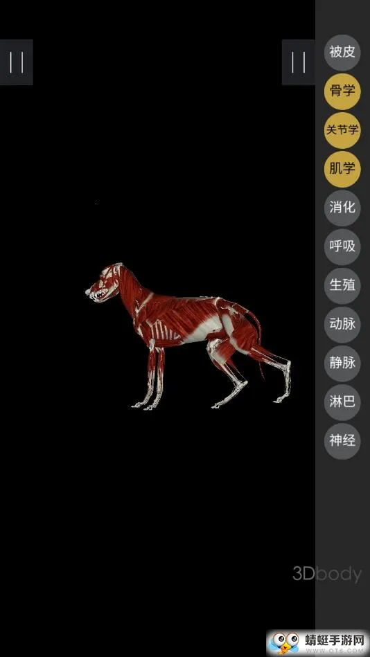 3dbody宠物版免费截图