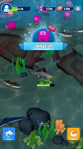 鲨鱼进化吞噬与成长2026下载截图