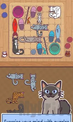 密米尔2026官方正版 密米尔2026官方正版