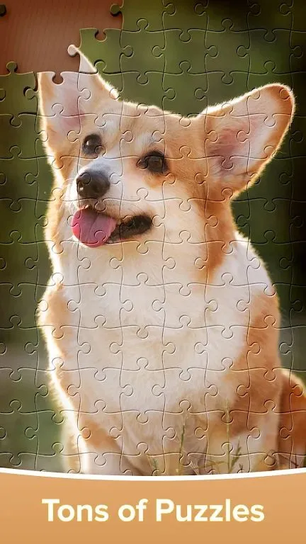 拼图游戏大闯关(成人拼图游戏)截图