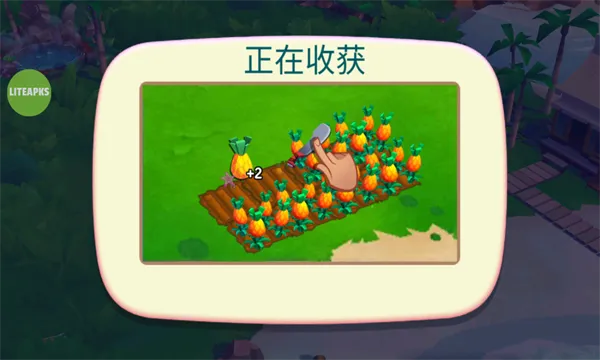 开心农场热带度假最新破解版截图