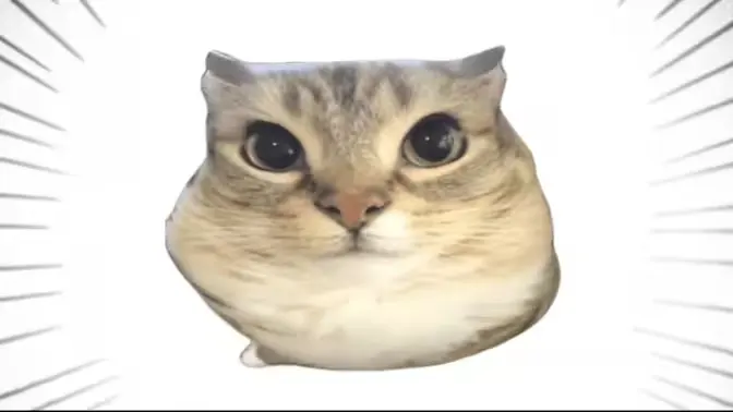 巴巴博一(未提及核心功能无法提炼)截图