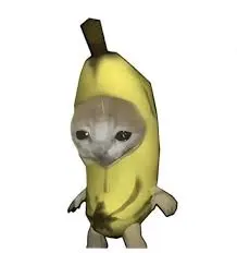 比比拉布2026官方正版截图