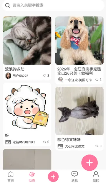 宠链app 宠链app