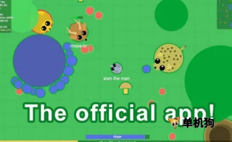 动物大作战(动物休闲竞技游)截图