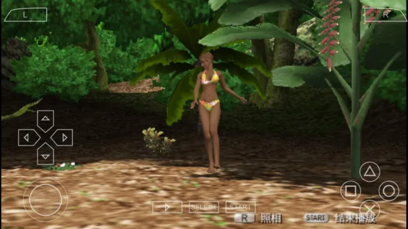 ����������(����Ů������Ϸ)v2021.11.24.12 �ٷ�����