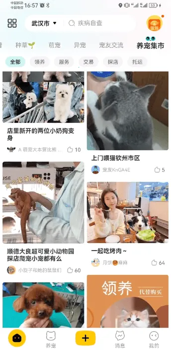 宠胖胖(智慧养宠游戏)截图