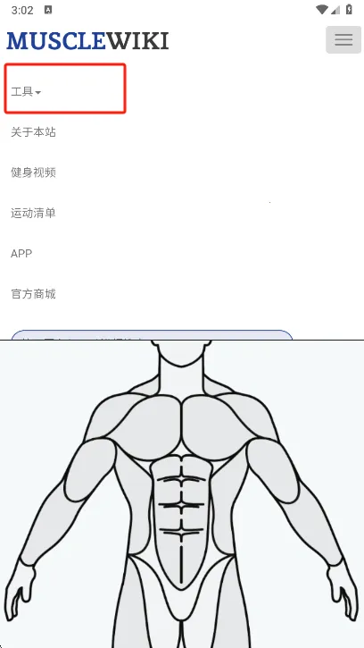 Muscle Wiki2026官方最新版本截图