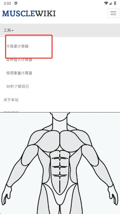 Muscle Wiki2026官方最新版本截图