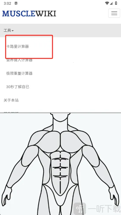 Muscle Wiki2026官方最新版本 Muscle Wiki2026官方最新版本