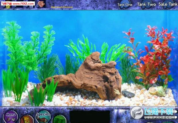 养鱼大亨2026下载安装截图