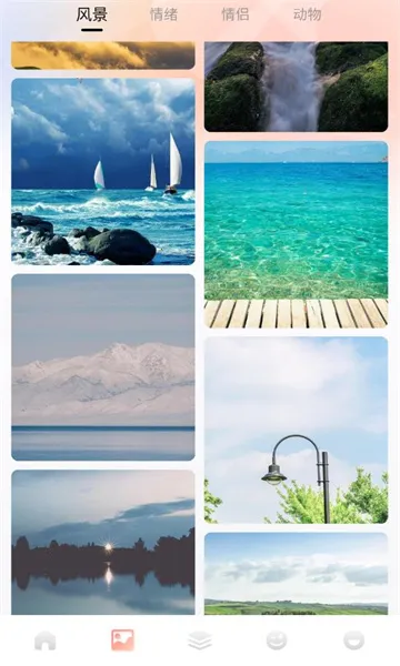 趣岛2026最新版本截图