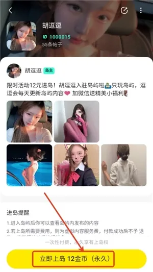 趣岛2026最新版本